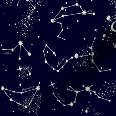 Zodiac Constellations in Night Navy