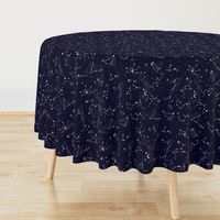 Zodiac Constellations in Night Navy