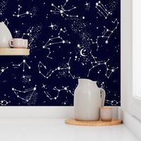 Zodiac Constellations in Night Navy