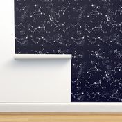 Zodiac Constellations in Night Navy