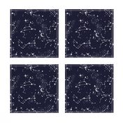 Zodiac Constellations in Night Navy