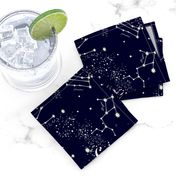 Zodiac Constellations in Night Navy