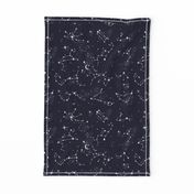 Zodiac Constellations in Night Navy