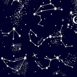 Zodiac Constellations in Night Navy