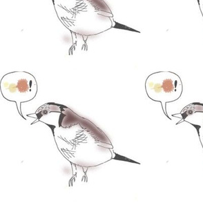 bird speaking