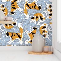 Calico Cats and Dots