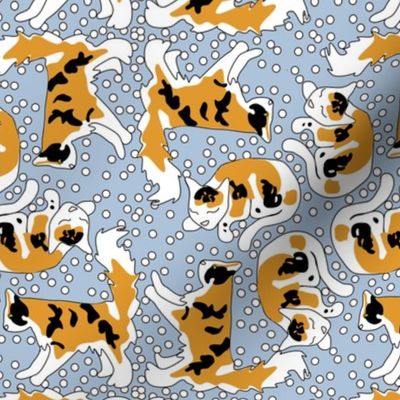 Calico Cats and Dots