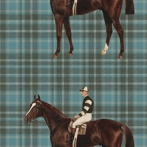 racehorseblueplaid