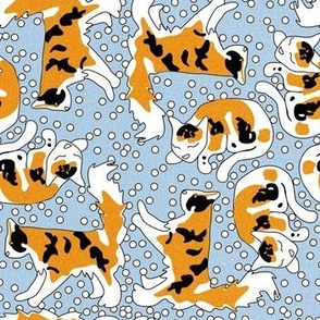 Fuzzy Calico Cats and Dots