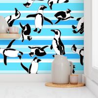 Penguins On Teal Stripes