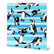 Penguins On Teal Stripes