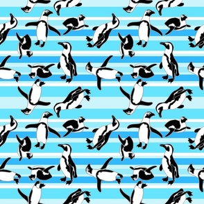 Penguins On Teal Stripes