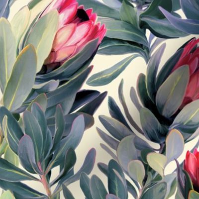 Painted Protea Floral