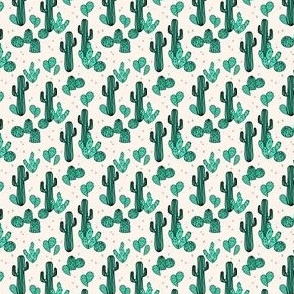 cactus // cacti kids summer desert southwest tropical plants houseplants succulents