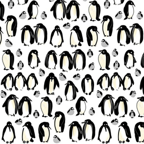 Penguins in spring