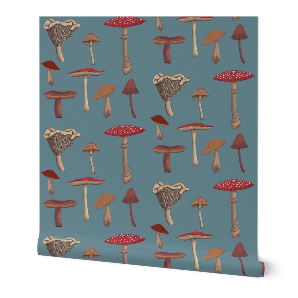 Mushroom Madness Two