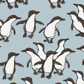 Fairy Penguin Parade