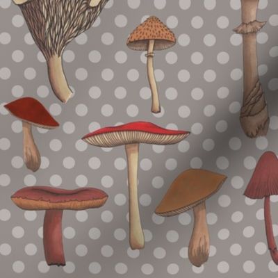 Mushroom Madness Two Polka Dots in Gray