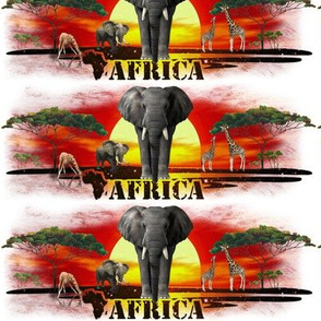 Africa - 002