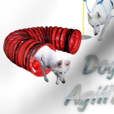 Agility - 001