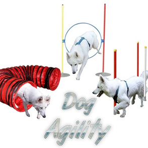 Agility - 001