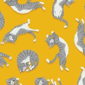 Grey Cats on Yellow