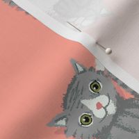 Grey Cats on Peachy Pink