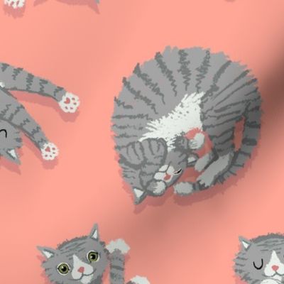 Grey Cats on Peachy Pink