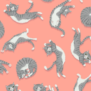 Grey Cats on Peachy Pink
