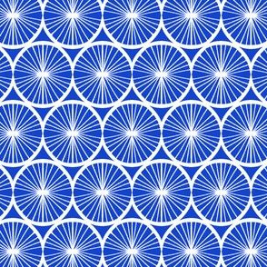 Spinning Wheel - Blue