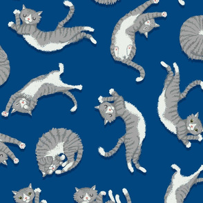 grey_cats_on_blue