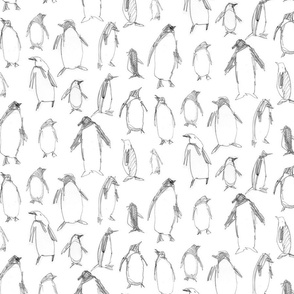 sketched pinguins