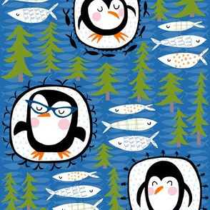 penguin portraits! 