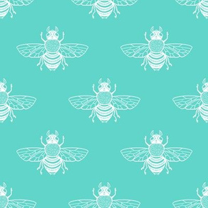 Baby Bee White on Turquoise