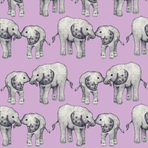 Baby Elephant Love - on lavender 