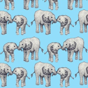 Affectionate Baby Elephants - on bright sky blue 
