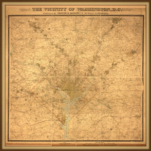 washington dc vintage map, small (FQ)