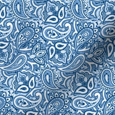 Persnickety Paisley ~ Jasperware, Lonely Angel Blue and White