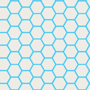 Envelop Honeycomb in Sky
