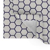 Envelop Honeycomb in Mailman