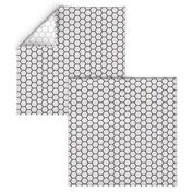 Envelop Honeycomb in Mailman