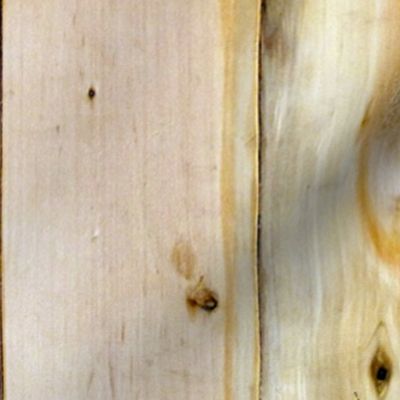 Pinewood Planks ~ White Pine 