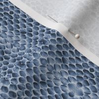 indigo snake skin