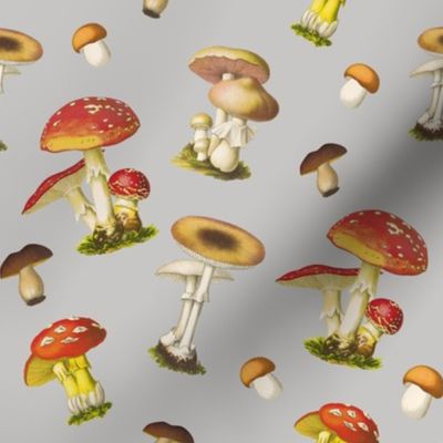 Super Mushrooms