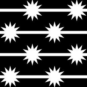 03850166 : starstripe : black + white