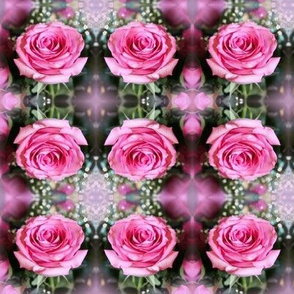 Pink Roses Small