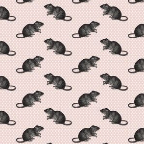 rats on white dots pink background