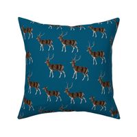 Deer Park HERD, Vintage on Petrol Blue