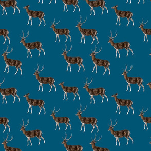 Deer Park HERD, Vintage on Petrol Blue