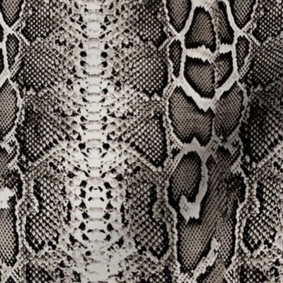 snakeskin all natural